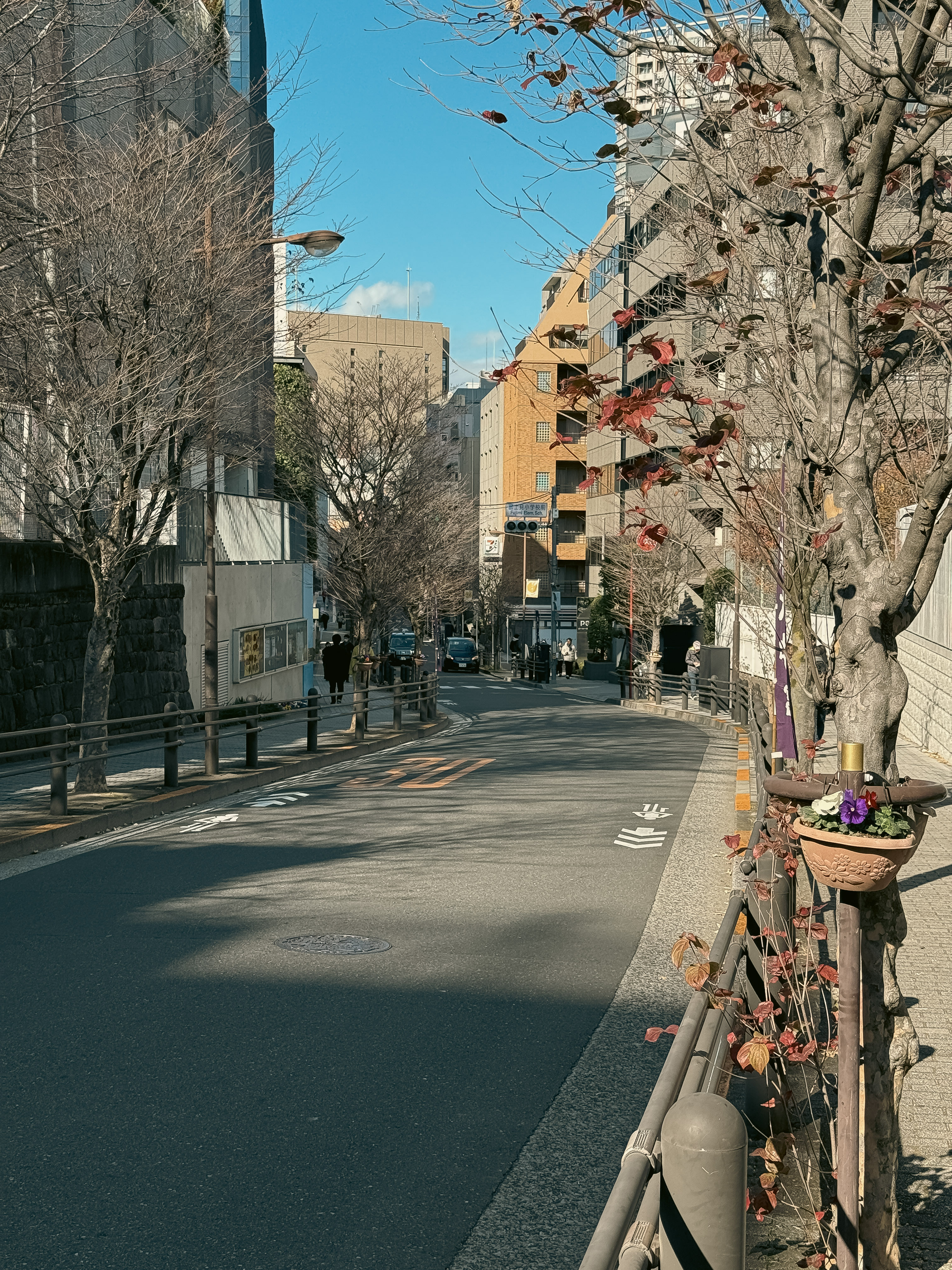 20260102-東京大神宮-街口