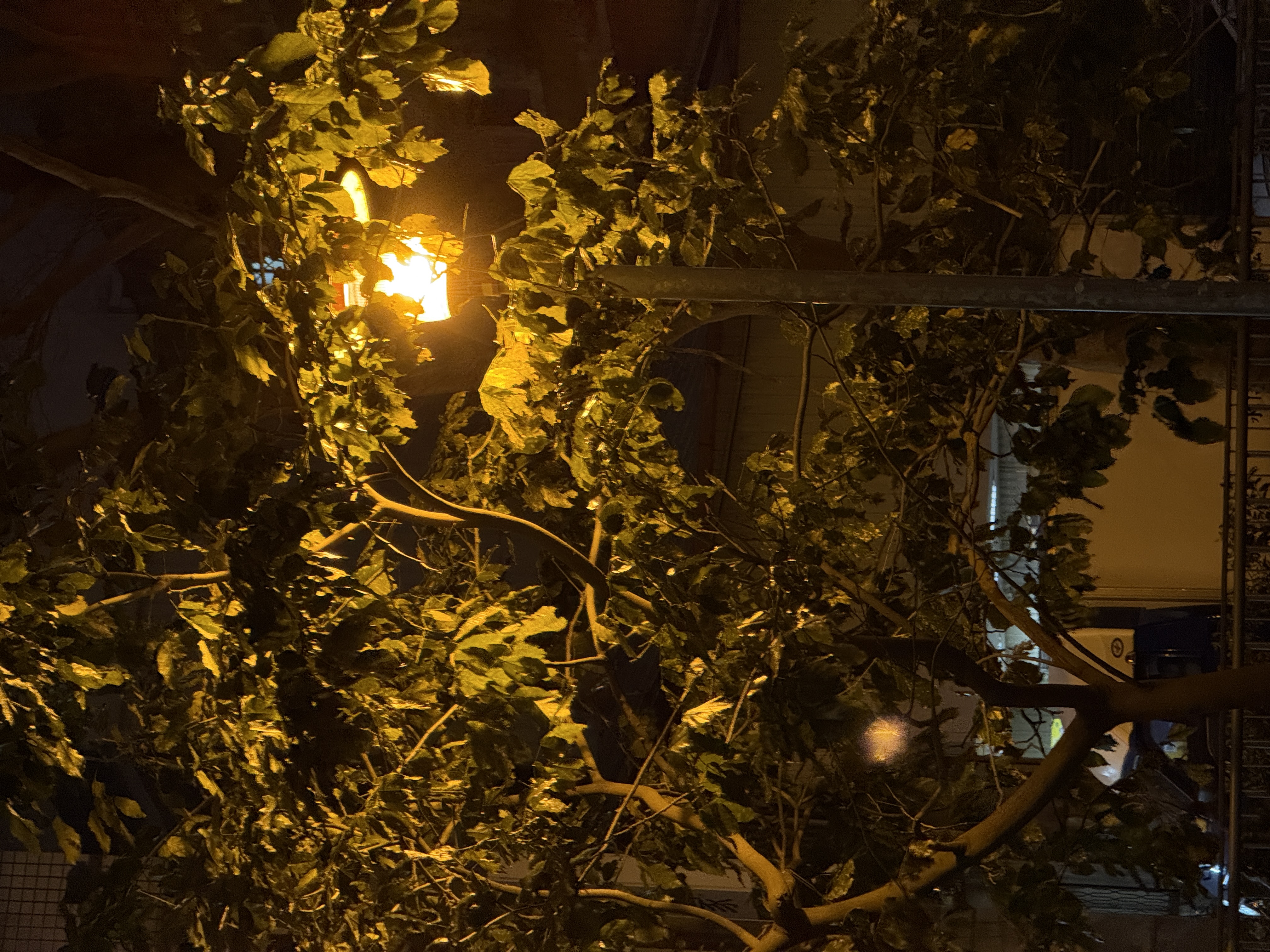 西屯-至善路-路燈