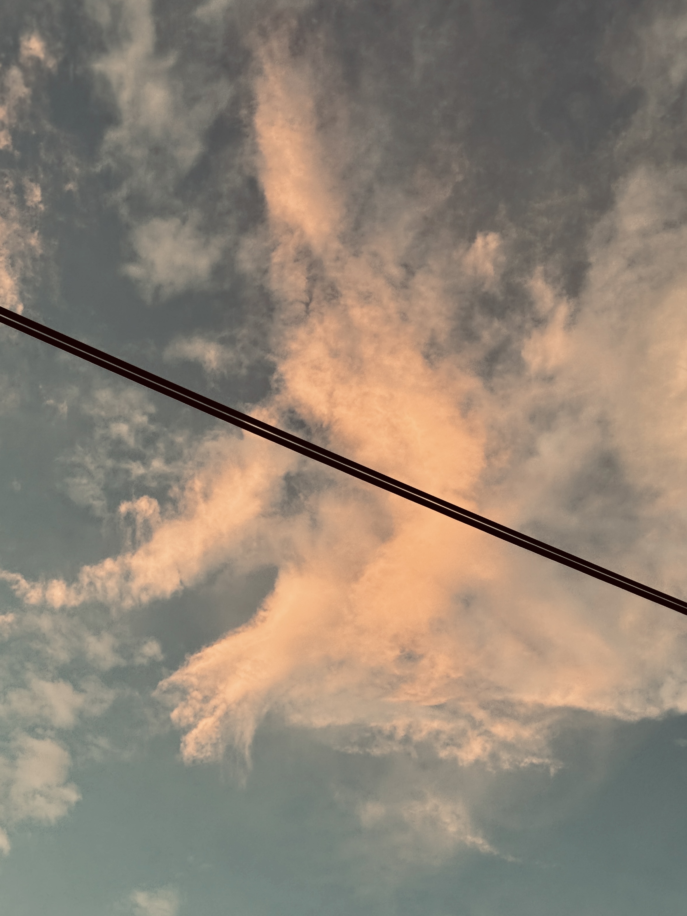 逢甲－很直很粗的電線